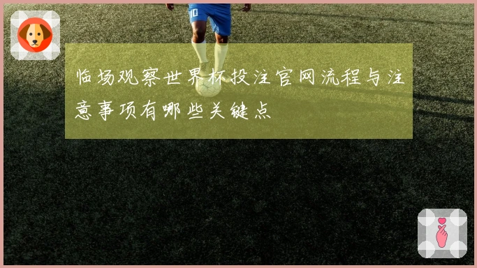 临场观察世界杯投注官网流程与注意事项有哪些关键点