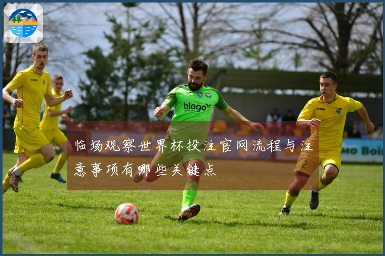 临场观察世界杯投注官网流程与注意事项有哪些关键点