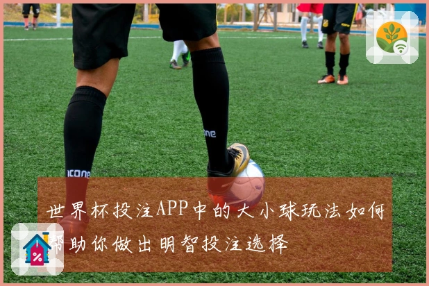 世界杯投注APP中的大小球玩法如何帮助你做出明智投注选择